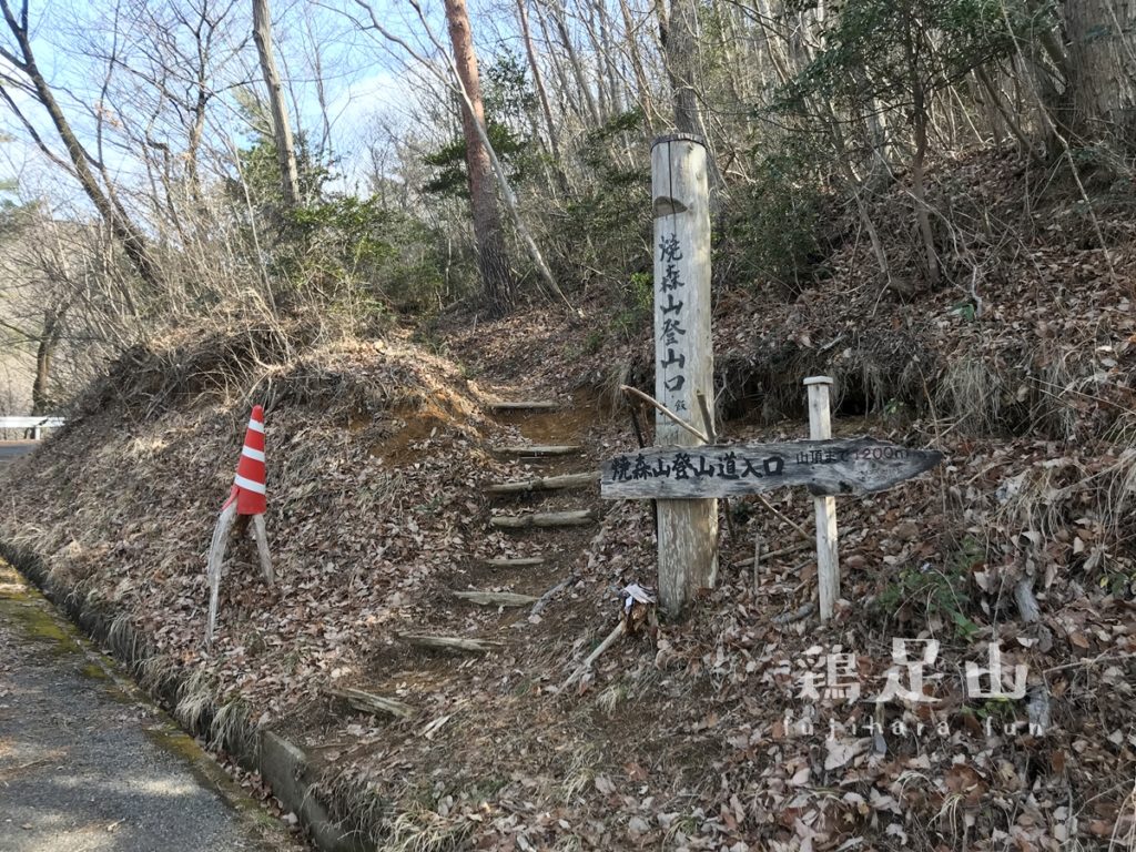 焼森山・鶏足山ハイキングコース